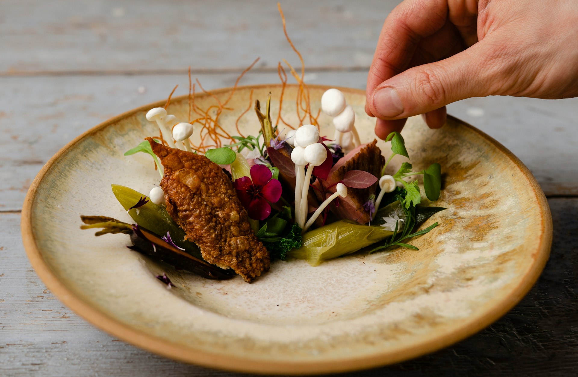 Gastronomie Assiette